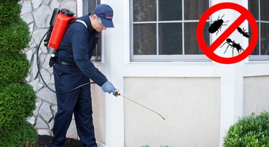 Kalkandere Karınca İlaçlama böcek ilaçlama ve haşere kontrolü — ilaclama-tr.com